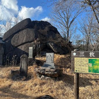 走っていて暑いのでTシャツに