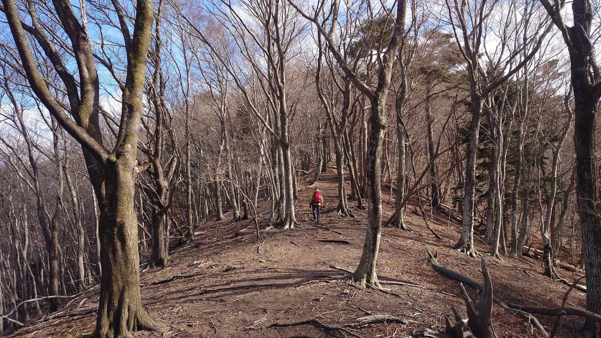 あ〜〜
なんて〜すてきな〜日だ〜♪