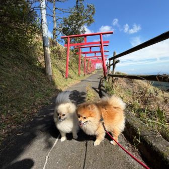 ひなたは結構暑いなぁ😅いつになったら涼しくなるんだろう…