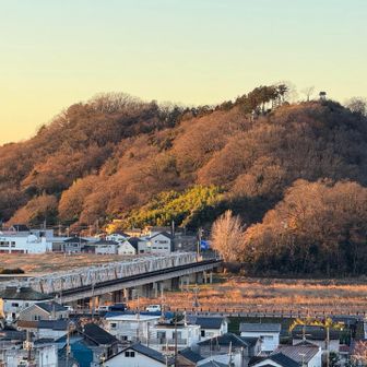織姫神社⛩️から見る『渡良瀬橋』