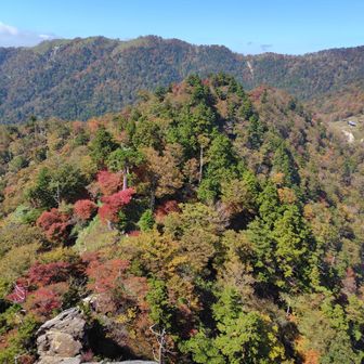行場からの景色