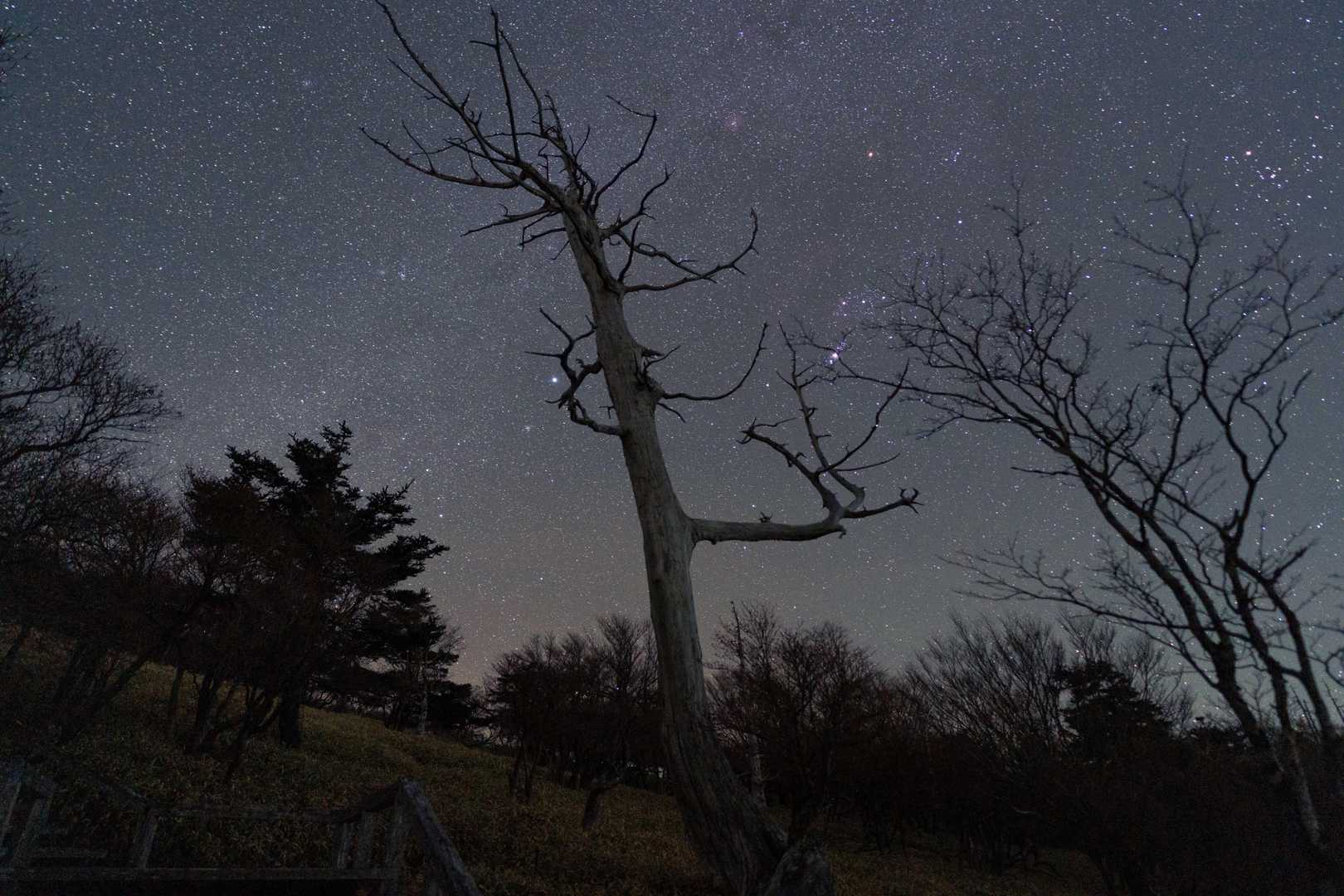 ビジターセンター-大台ヶ原山（日出ヶ岳） 往復コースの写真