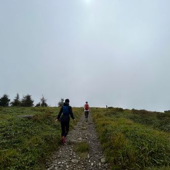 登山道に入ると、はぇーよ隊長