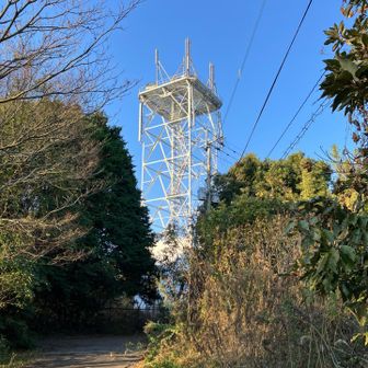 倒木をかき分けて、道路に出ると電波塔が見えました　ショートカットで時間短縮になったかは疑問ですが😆