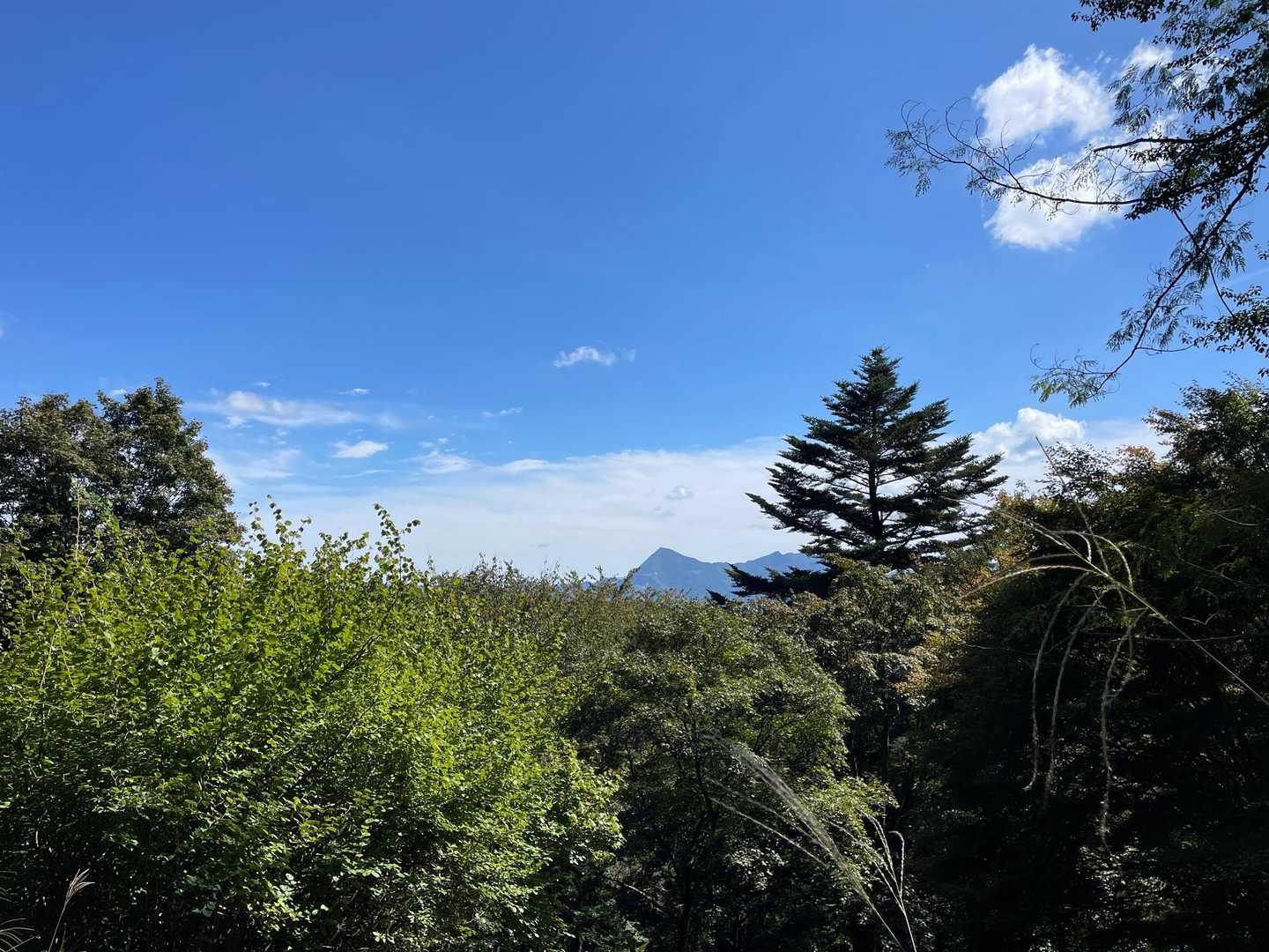 四阿屋山 往復コースの写真