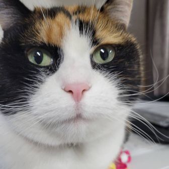 Guest_631496よっちゃん