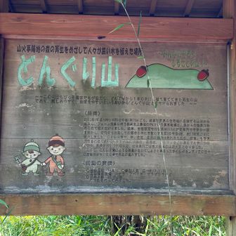 どんぐり山の由来がこんなに離れた場所に掲示されてました