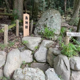 直ぐ側に鳥地獄🐔❓