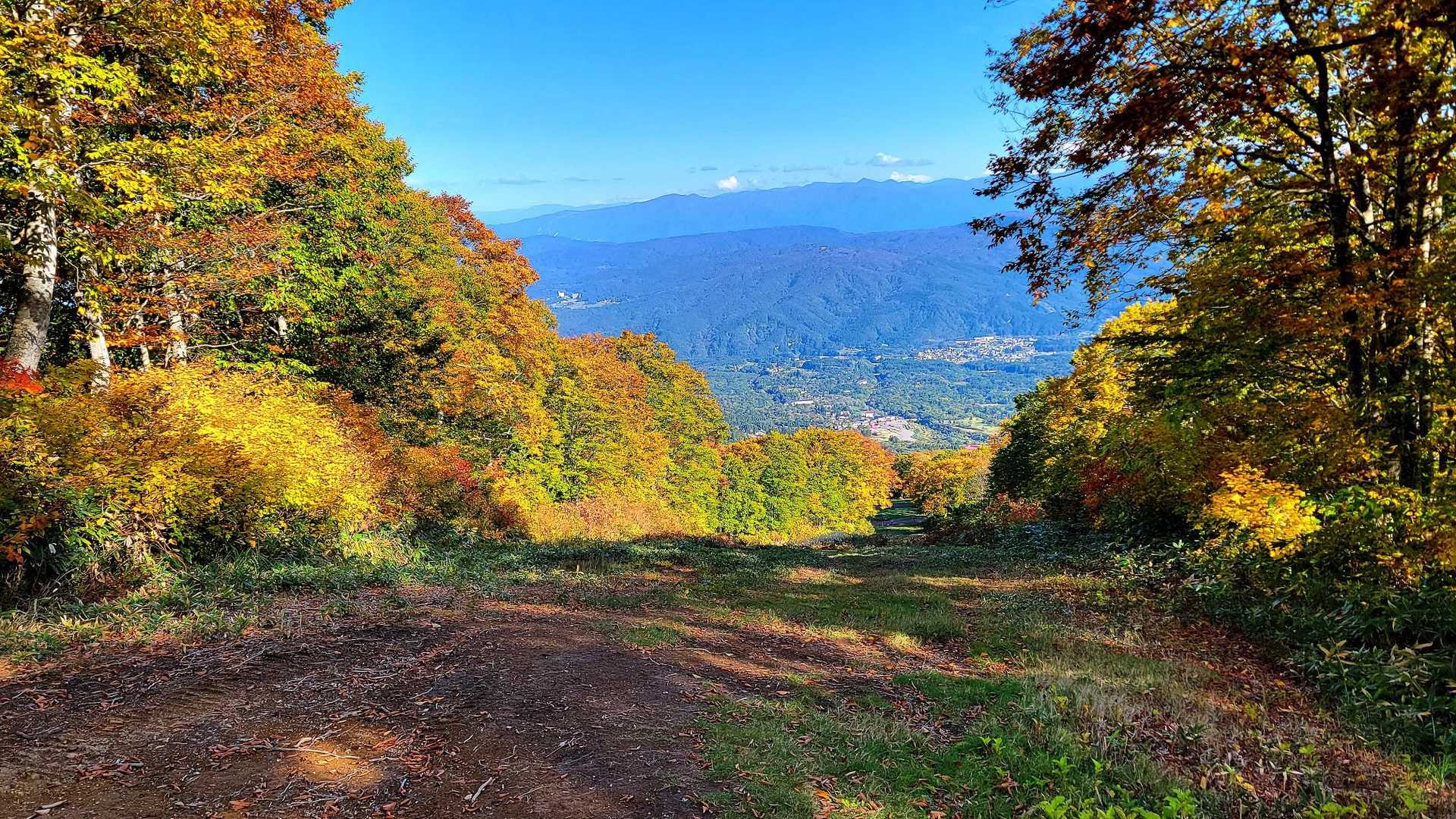 山頂駅-妙高山 往復コースの写真