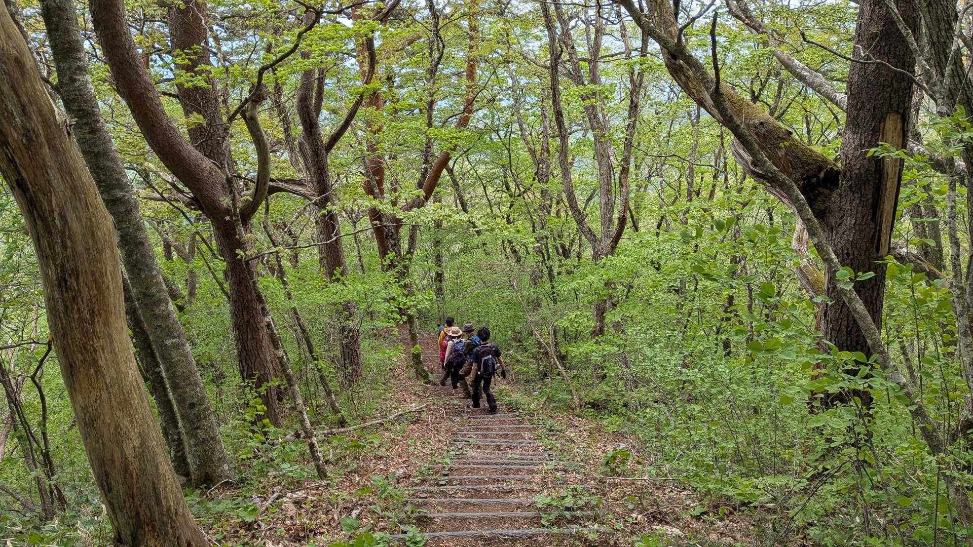 下山中