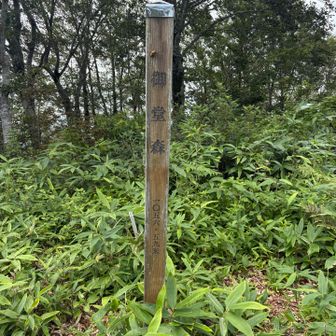 山頂着