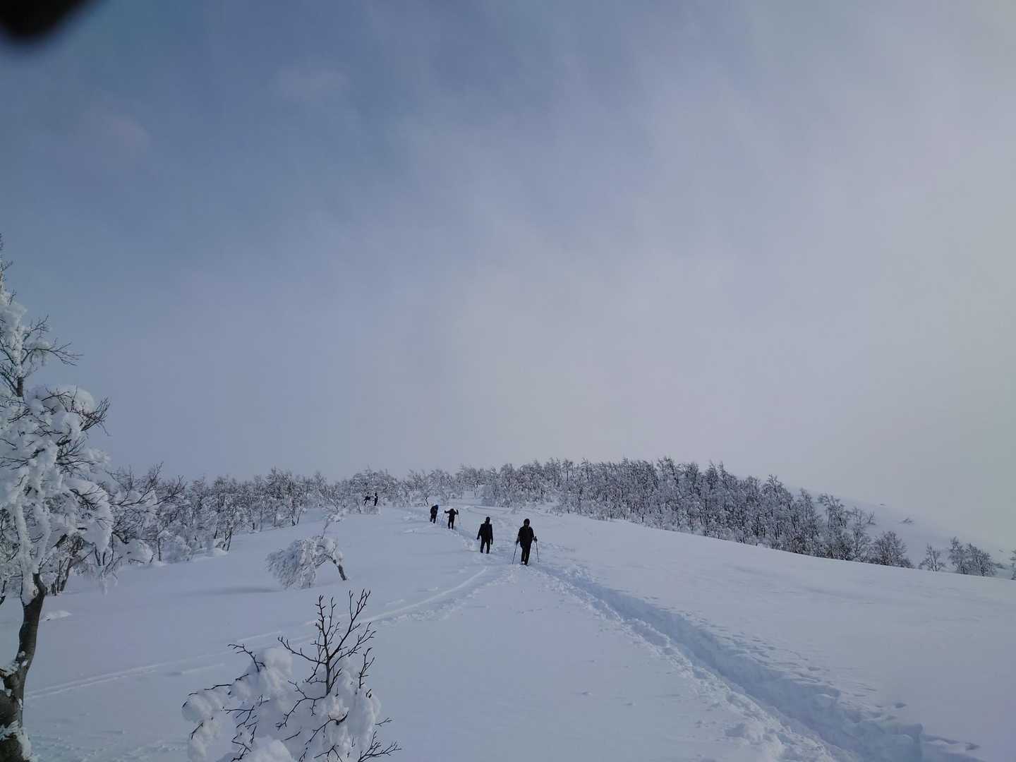 綺麗なトレース
登りやすかった
昨日ラッセルしてくださった人々に感謝です🙏