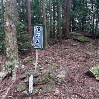 やっと着いたのに山頂は展望ない
残念😢