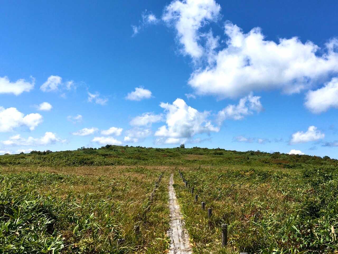 白地山の写真