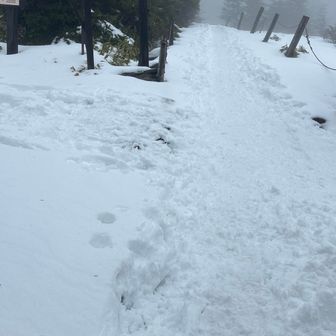 もふもふのズボズボを想像していましたが、スノーシュー隊がいたので整地させてアイゼンで普通に行けました。