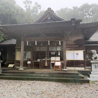 連日の阿波波神社⛩️