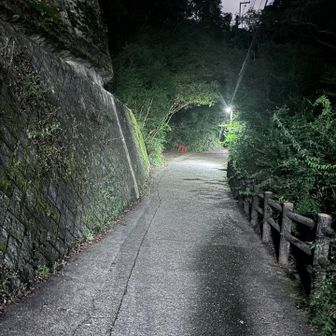 やっと下山もう余裕す