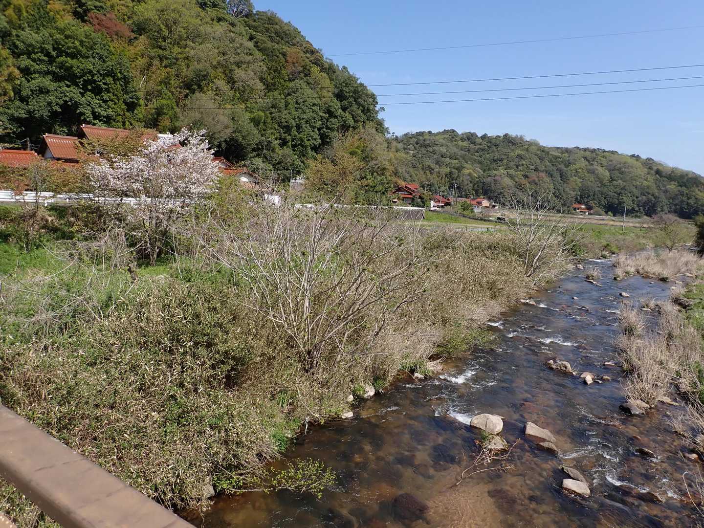 伯太（はくた）町
横屋
清水掻（こりかき）

流れる伯太川の長閑な風景に癒されました💕
