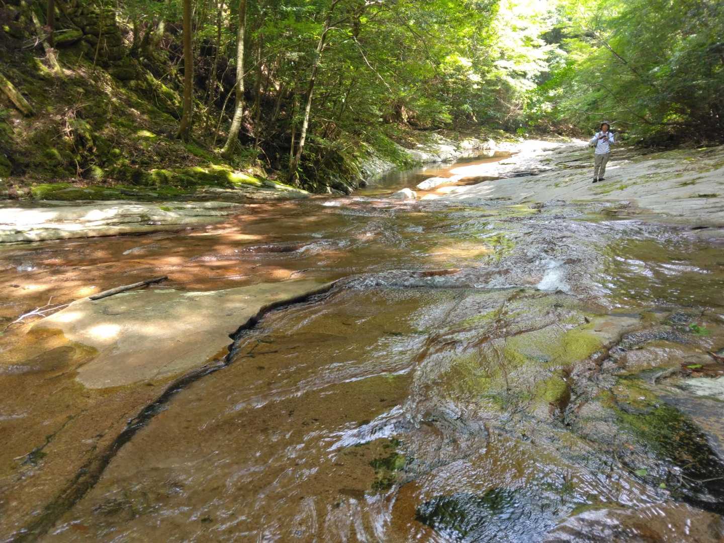 【滑床渓谷】南予山地の名峰に抱かれた美しい川床を満喫の写真