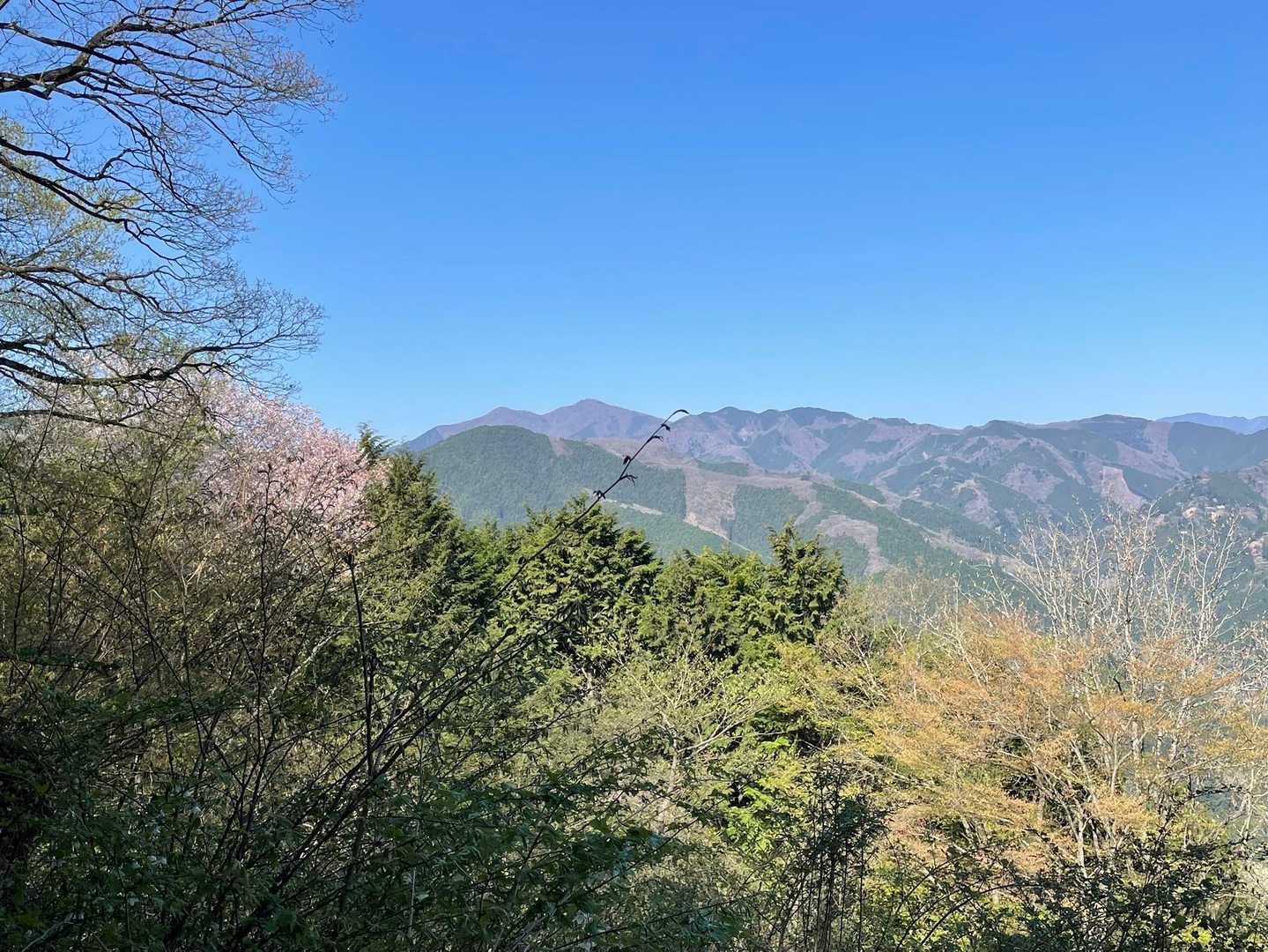 そして三頭山