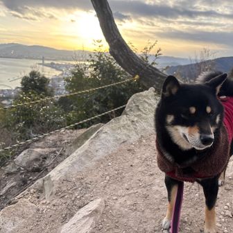 長等山テラス！いつ見てもいい景色