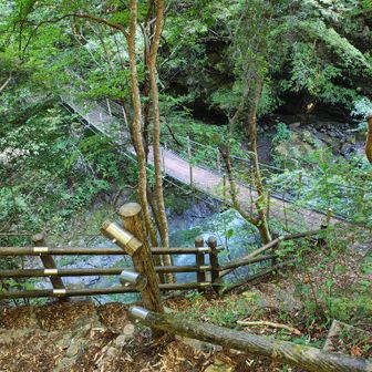 第一つり橋(勝手に呼んでる)