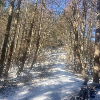 めっちゃ歩きやすーい♪