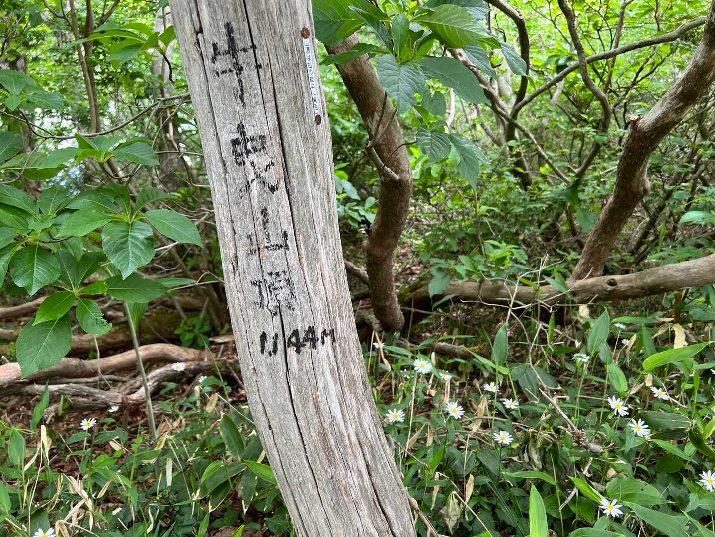 はぁい