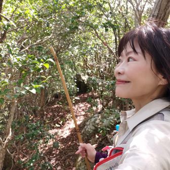 山名板とかなんかないの？