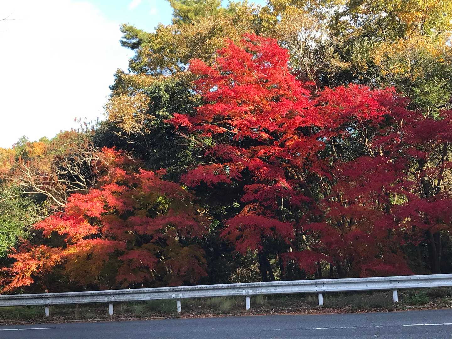 再度公園到着