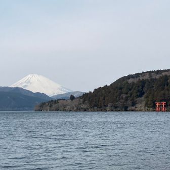 冨士🗻箱根神社⛩️