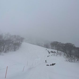 結構雪と風が強くなってきました。
まずはロープウェイで下山します。
トマの耳からオキの耳の間はいくつも亀裂入ってました。行かれる方は気をつけてください。