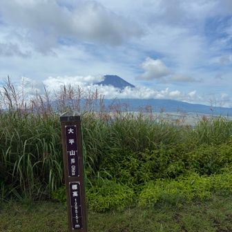 大平山（おおひらやま・1296m）　到着