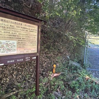 楊谷寺第2駐車場に下りてきました。

すかさず、駐車場から始まる ポンポン山への登山口から入山💪
2箇所のチェーンを解いて入りますが、意外とチェーンに時間かかる😓