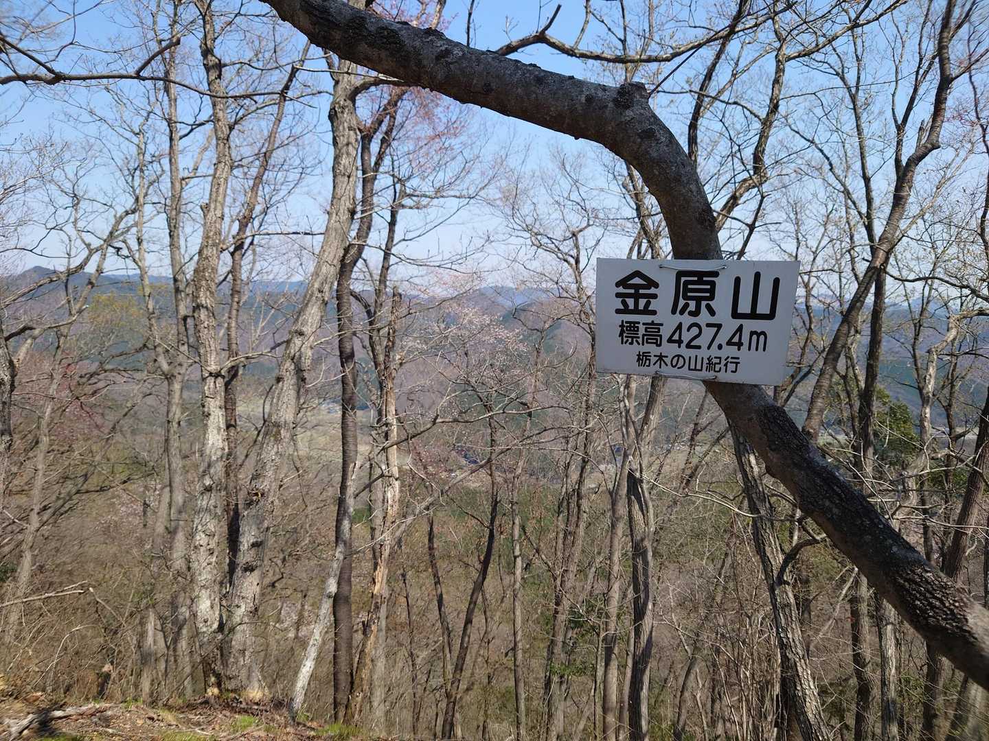 折り返し地点の金原山に到着