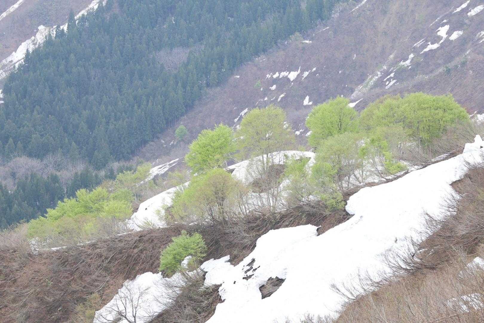 坂戸山登山口-坂戸山 縦走コースの写真