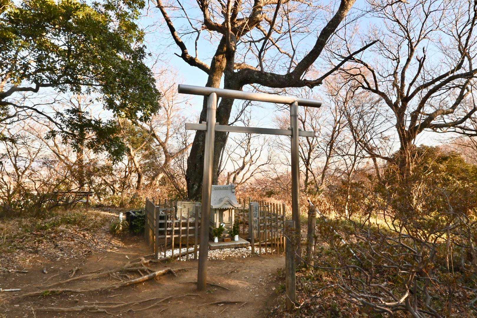 とてもコンパクトなお社である。
（鳥居はちょっと大きいか）