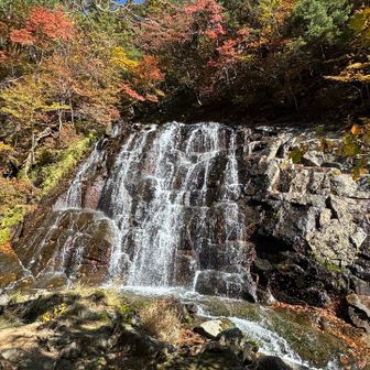 真夏にしか来たことなかったのですが、紅葉シーズンの滝も綺麗
