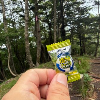 おやつ