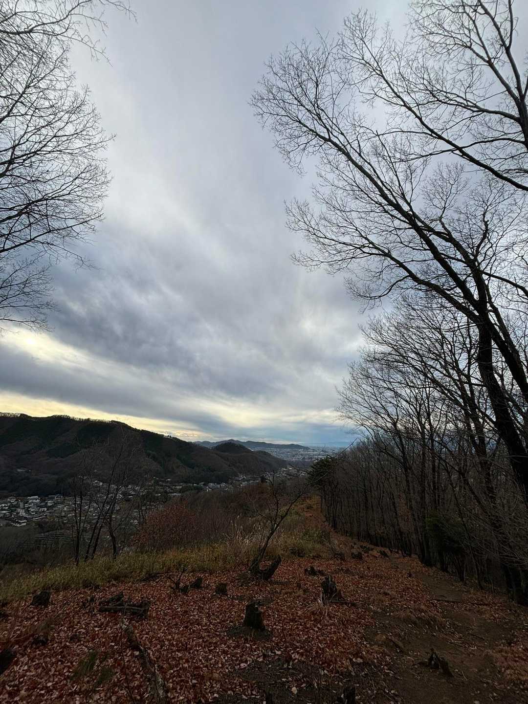 赤城神社-経塚山-小倉山-笹久保山-岩木戸山-吾妻山-吾妻 周回コースの写真
