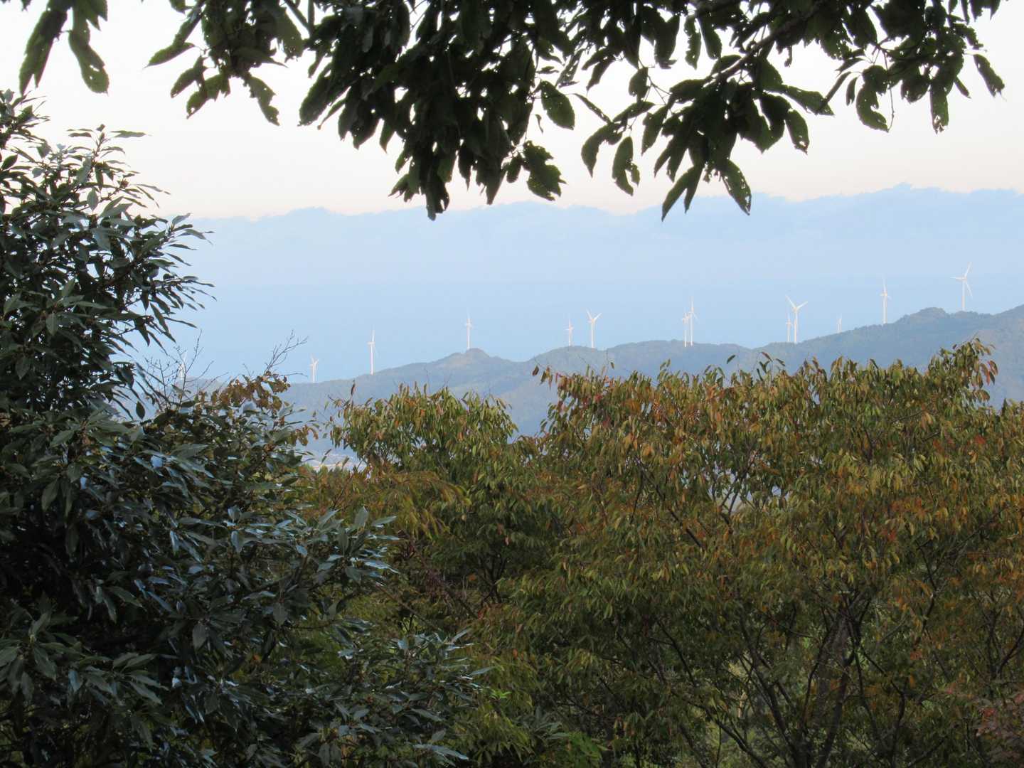 旅伏山 往復コースの写真