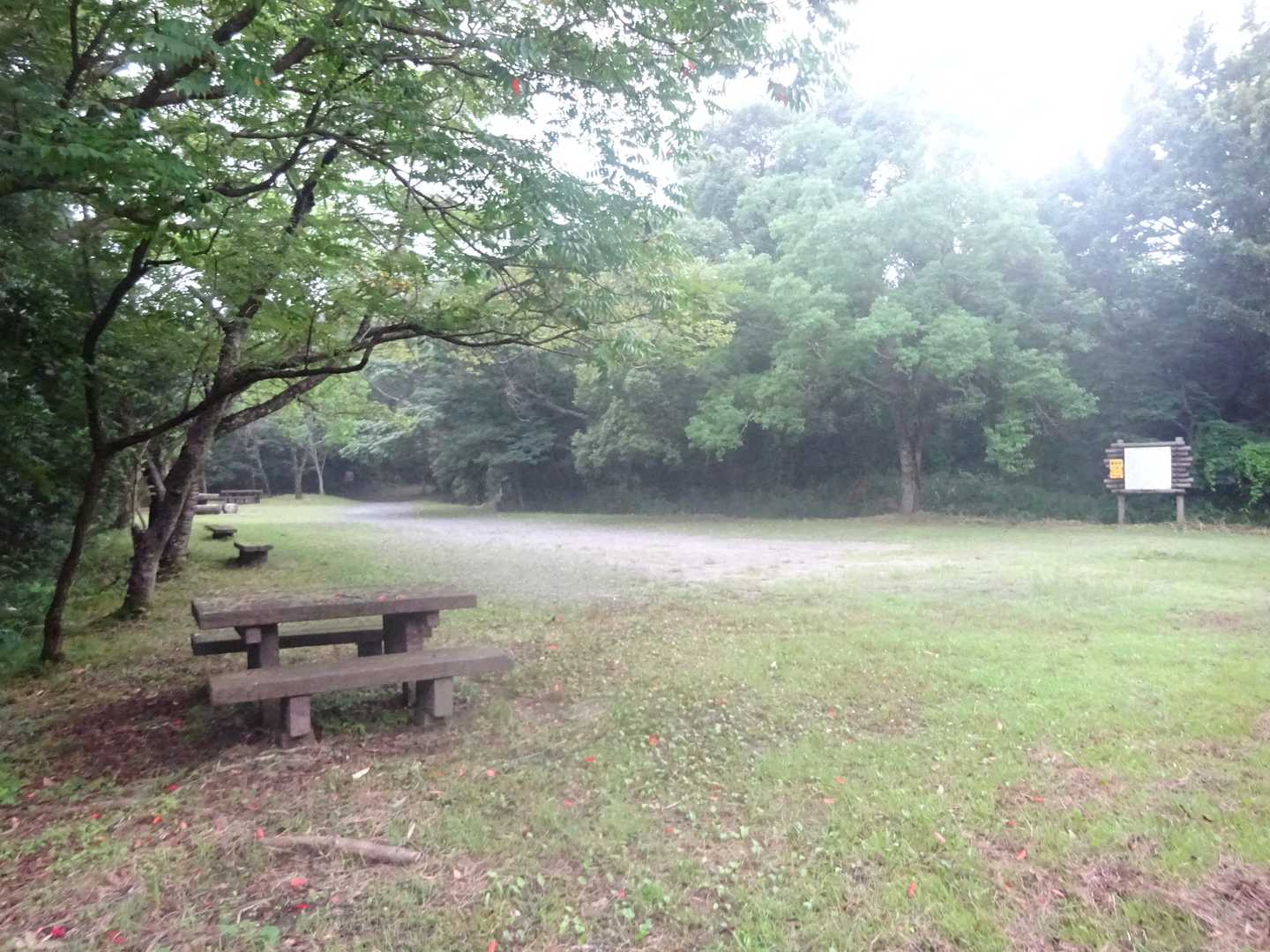 笹千里Pは車無し