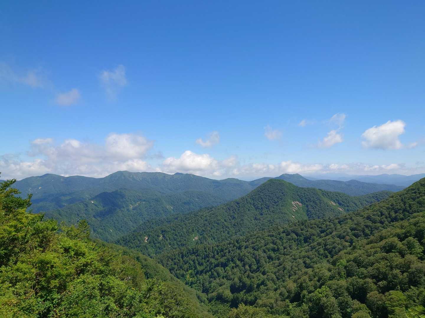 虎毛山 往復コースの写真