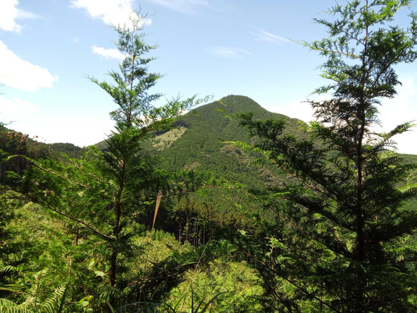 八高山（福用駅）の写真