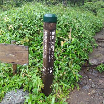 右から行って
左から帰ってきます
