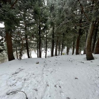 最高点は寄りません