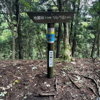 ササ峠
