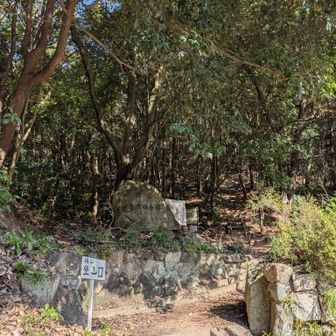 お疲れ様（＾ν＾）