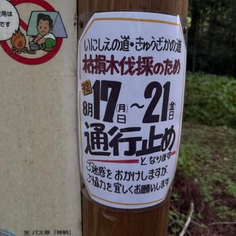 8/17～21は記載のルートが通行止めです
長年通行止めだった「いにしえの道」はいよいよ再開？
