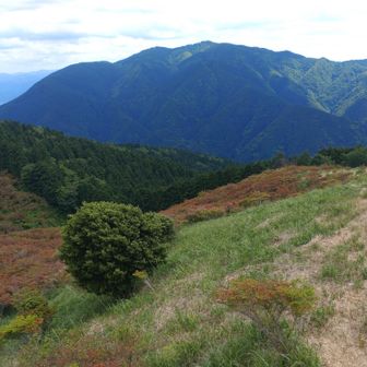 金剛山